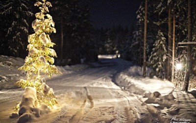 La Neige enfin de retour en France