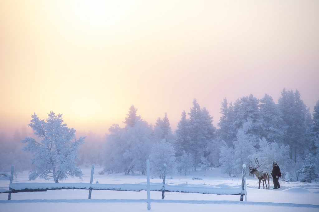 territoire laponie finlandaise