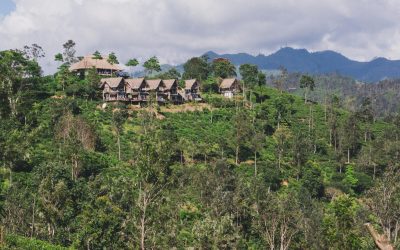 Voyage au Sri Lanka