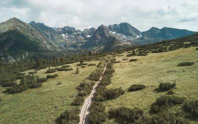 J16 : l’anxiété du lendemain